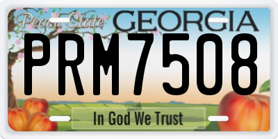 GA license plate PRM7508