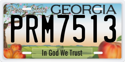 GA license plate PRM7513