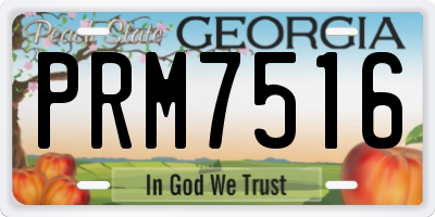 GA license plate PRM7516