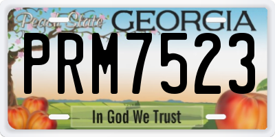 GA license plate PRM7523