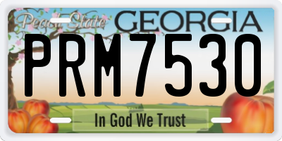 GA license plate PRM7530