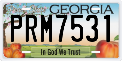 GA license plate PRM7531