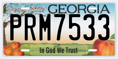 GA license plate PRM7533