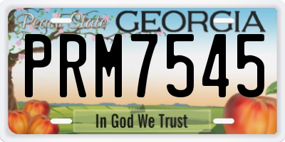 GA license plate PRM7545