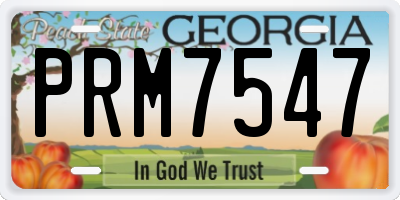 GA license plate PRM7547