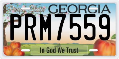 GA license plate PRM7559