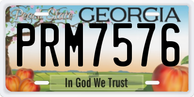 GA license plate PRM7576