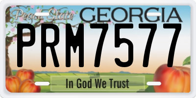 GA license plate PRM7577