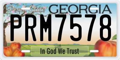 GA license plate PRM7578