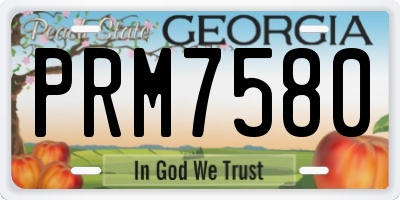 GA license plate PRM7580