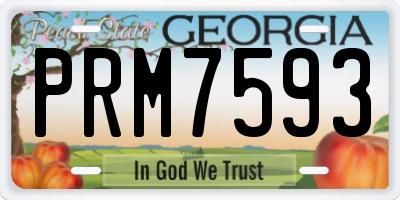 GA license plate PRM7593