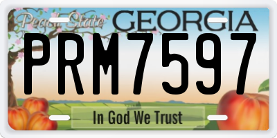 GA license plate PRM7597