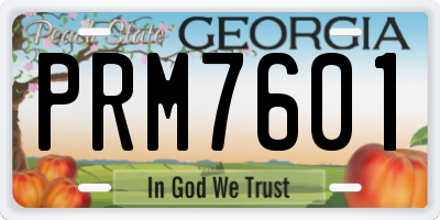 GA license plate PRM7601