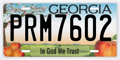 GA license plate PRM7602