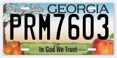 GA license plate PRM7603