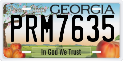 GA license plate PRM7635