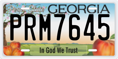 GA license plate PRM7645