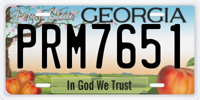 GA license plate PRM7651