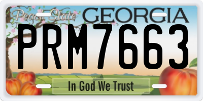 GA license plate PRM7663