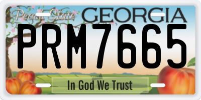 GA license plate PRM7665
