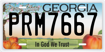 GA license plate PRM7667