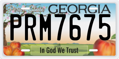 GA license plate PRM7675