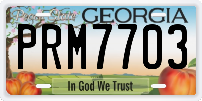 GA license plate PRM7703