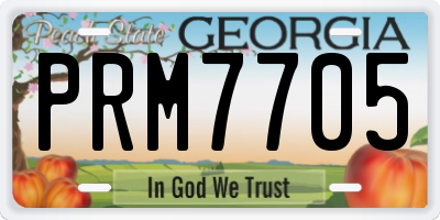 GA license plate PRM7705
