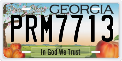 GA license plate PRM7713