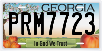 GA license plate PRM7723