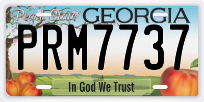 GA license plate PRM7737