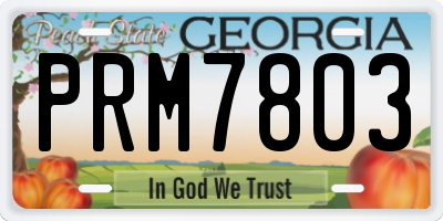 GA license plate PRM7803
