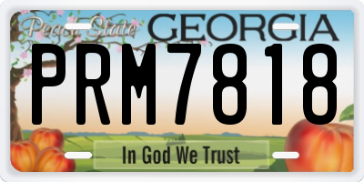 GA license plate PRM7818