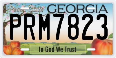 GA license plate PRM7823