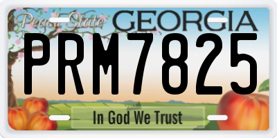 GA license plate PRM7825