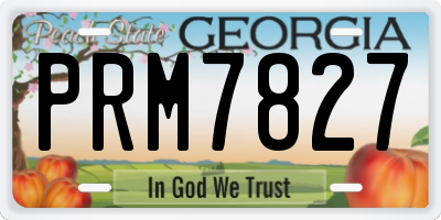 GA license plate PRM7827