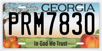 GA license plate PRM7830