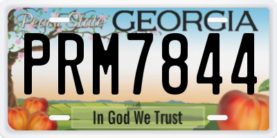 GA license plate PRM7844