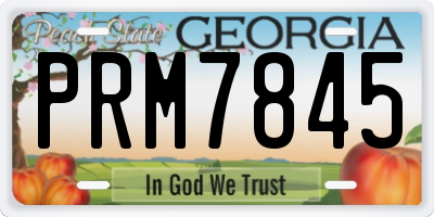 GA license plate PRM7845