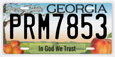 GA license plate PRM7853