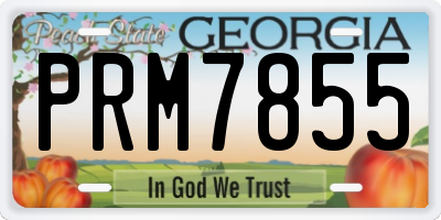 GA license plate PRM7855
