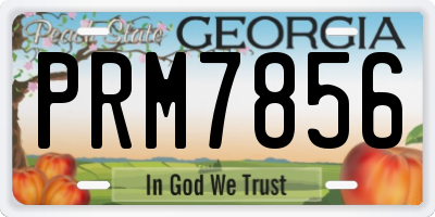 GA license plate PRM7856