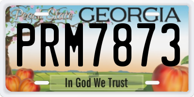 GA license plate PRM7873