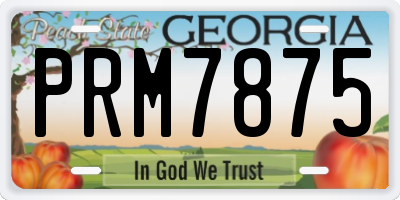 GA license plate PRM7875