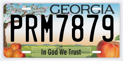 GA license plate PRM7879