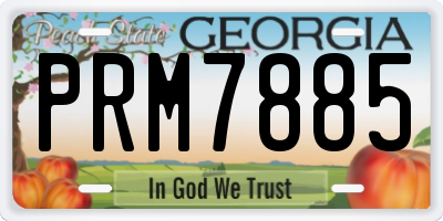 GA license plate PRM7885