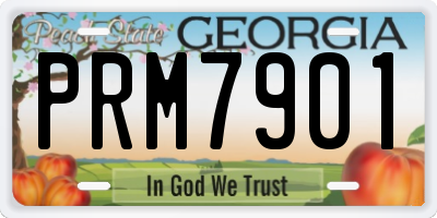 GA license plate PRM7901