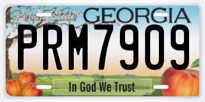 GA license plate PRM7909