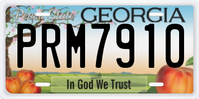 GA license plate PRM7910