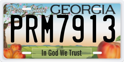 GA license plate PRM7913